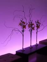 デコレーション